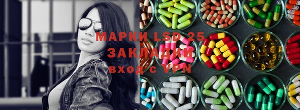 ПСИЛОЦИБИНОВЫЕ ГРИБЫ Арсеньев