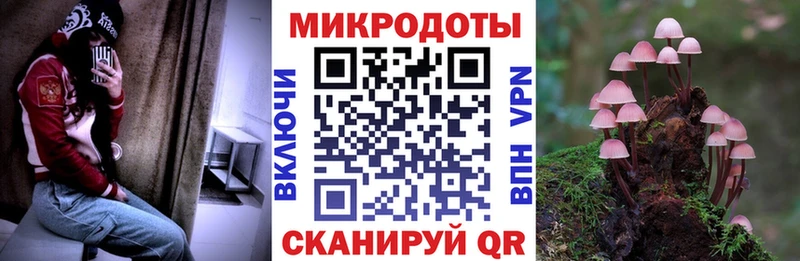 Псилоцибиновые грибы Psilocybine cubensis  KRAKEN рабочий сайт  Урюпинск  shop какой сайт  цены  